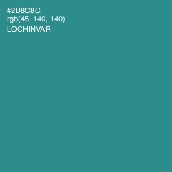 #2D8C8C - Lochinvar Color Image