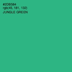 #2DB584 - Jungle Green Color Image