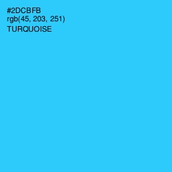 #2DCBFB - Turquoise Color Image