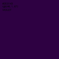 #2E0143 - Violet Color Image