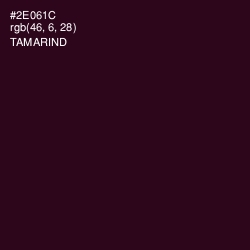 #2E061C - Tamarind Color Image