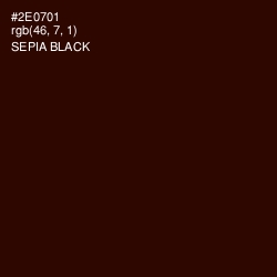 #2E0701 - Sepia Black Color Image