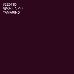 #2E071D - Tamarind Color Image