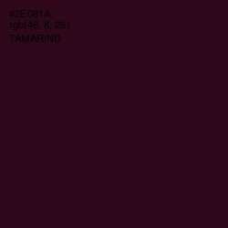 #2E081A - Tamarind Color Image