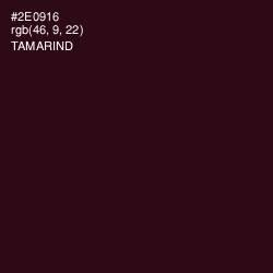 #2E0916 - Tamarind Color Image
