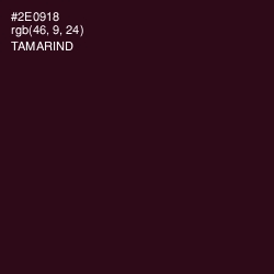 #2E0918 - Tamarind Color Image