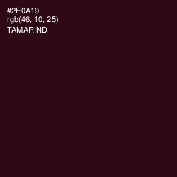 #2E0A19 - Tamarind Color Image