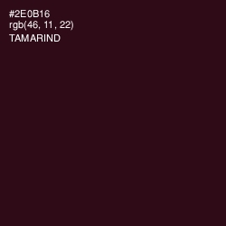 #2E0B16 - Tamarind Color Image