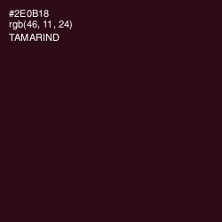 #2E0B18 - Tamarind Color Image