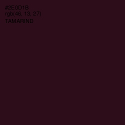 #2E0D1B - Tamarind Color Image