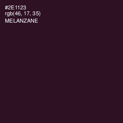 #2E1123 - Melanzane Color Image