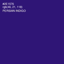 #2E1576 - Persian Indigo Color Image