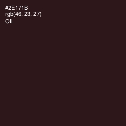 #2E171B - Oil Color Image