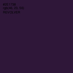 #2E1738 - Revolver Color Image