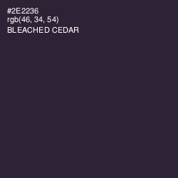 #2E2236 - Bleached Cedar Color Image