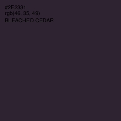 #2E2331 - Bleached Cedar Color Image