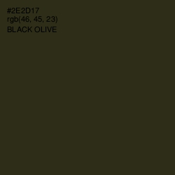 #2E2D17 - Black Olive Color Image