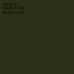 #2E2F19 - Black Olive Color Image