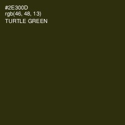 #2E300D - Turtle Green Color Image