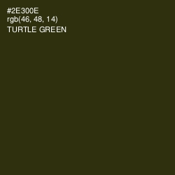 #2E300E - Turtle Green Color Image