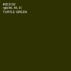 #2E3102 - Turtle Green Color Image