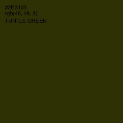 #2E3103 - Turtle Green Color Image