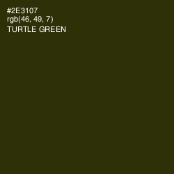 #2E3107 - Turtle Green Color Image