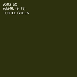 #2E310D - Turtle Green Color Image