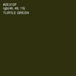 #2E310F - Turtle Green Color Image