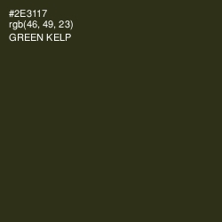 #2E3117 - Green Kelp Color Image