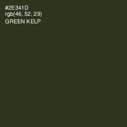 #2E341D - Green Kelp Color Image