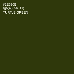 #2E380B - Turtle Green Color Image