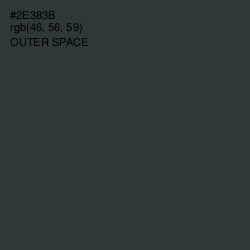 #2E383B - Outer Space Color Image