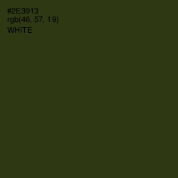 #2E3913 - Mallard Color Image