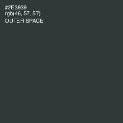 #2E3939 - Outer Space Color Image