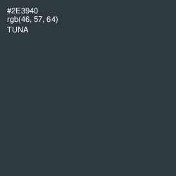 #2E3940 - Tuna Color Image