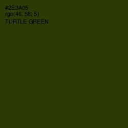 #2E3A05 - Turtle Green Color Image