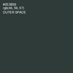 #2E3B39 - Outer Space Color Image