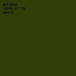 #2E3D0A - Turtle Green Color Image