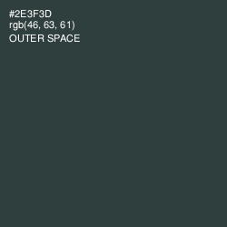 #2E3F3D - Outer Space Color Image