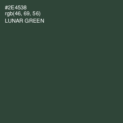 #2E4538 - Lunar Green Color Image