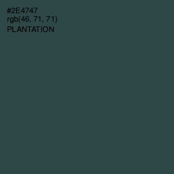 #2E4747 - Plantation Color Image