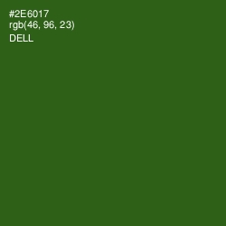 #2E6017 - Dell Color Image