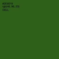 #2E6019 - Dell Color Image