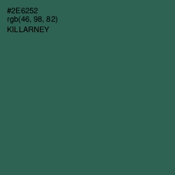 #2E6252 - Killarney Color Image