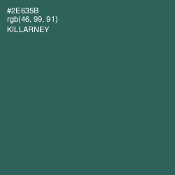 #2E635B - Killarney Color Image