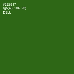 #2E6817 - Dell Color Image