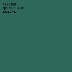 #2E685B - Amazon Color Image