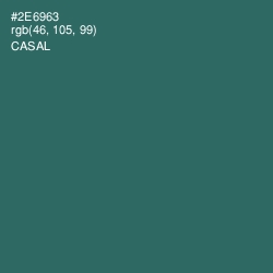 #2E6963 - Casal Color Image
