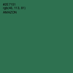 #2E7151 - Amazon Color Image